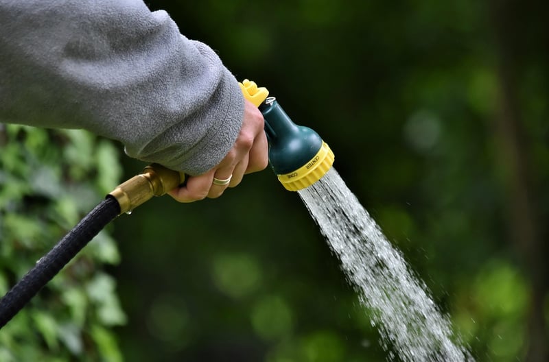 Watering Frequency