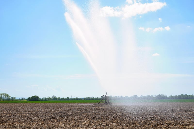Drip Irrigation System
